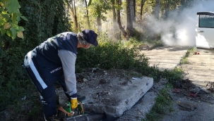 Haşere üreme alanları ilaçlanıyor