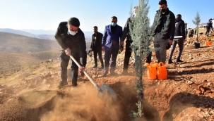 Milli ağaçlandırma gününde fidanlar toprakla buluştu