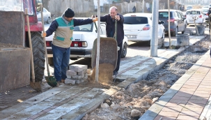 Büyükşehir de kış dönemi ağaç dikimi