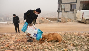 "Doğanın Minik Canlılarına Hep Birlikte Sahip Çıkmalıyız"