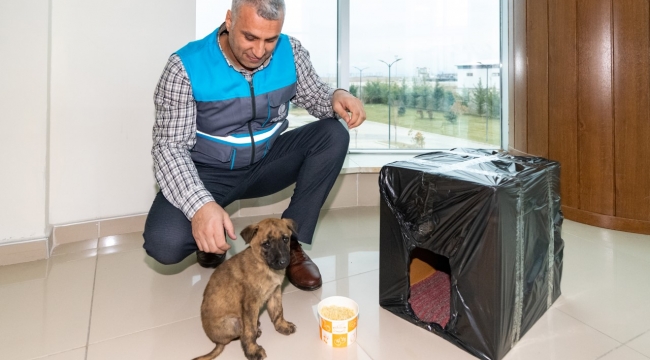 MASKİ Fındık'ı donmaktan kurtardı