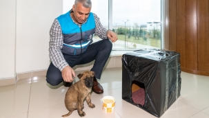 MASKİ Fındık'ı donmaktan kurtardı