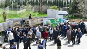 "60 Bin Adet Meyve Fidanı Dağıtımı Yaptık"
