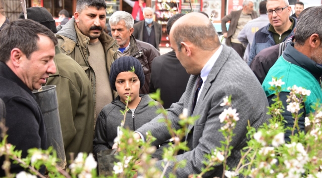 Pütürge'de fidan dağıtımı