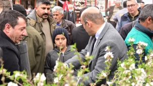 Pütürge'de fidan dağıtımı