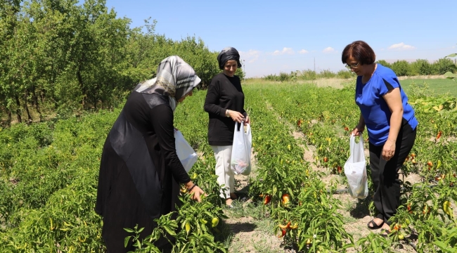 kadın muhtarlar kooperatifte üretim yapan kadınlarta omuz verdi