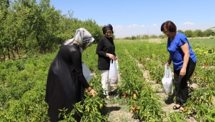 kadın muhtarlar kooperatifte üretim yapan kadınlarta omuz verdi