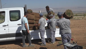 Yeşilyurt Belediyesi Tarımsal Üretim Ve AR-GE Sahasındaki Rulo Çim Üretimlerinde Hedeflerin Üzerine Çıkıldı.