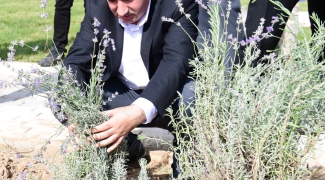 "Sosyal Yaşam Alanlarımızla Şehrimizin Yeniden İnşasına Katkı Sunuyoruz"