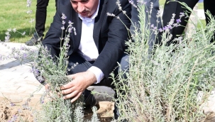 "Sosyal Yaşam Alanlarımızla Şehrimizin Yeniden İnşasına Katkı Sunuyoruz"