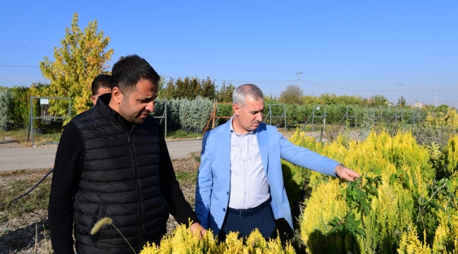 "11 Kasım'da Beylerderesi Şehir Parkımızın Dördüncü Etabında Ağaçlandırma Etkinliği Düzenleyeceğiz"