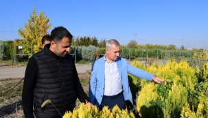 "11 Kasım'da Beylerderesi Şehir Parkımızın Dördüncü Etabında Ağaçlandırma Etkinliği Düzenleyeceğiz"