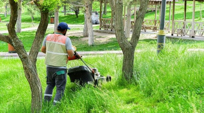 park ve bahçelerde ilaçlama