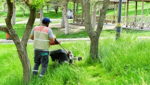park ve bahçelerde ilaçlama
