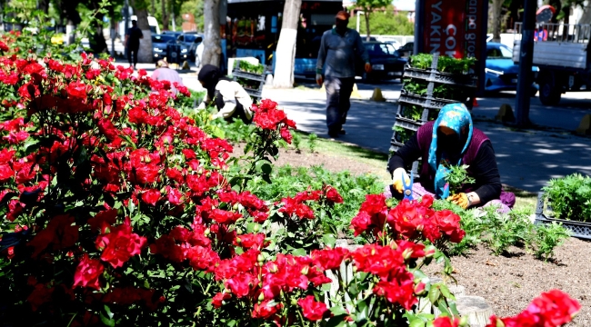 peyzaj çalışmaları devam ediyor