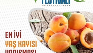  En İyi Yaş Kayısı Yarışması