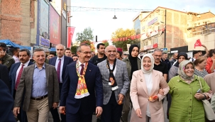 Kayısılar dereye dökülürken festival başladı