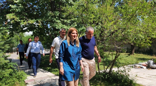Halkın Temsilcisi Mi, Otoriteye Mi Sadık