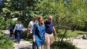 Halkın Temsilcisi Mi, Otoriteye Mi Sadık