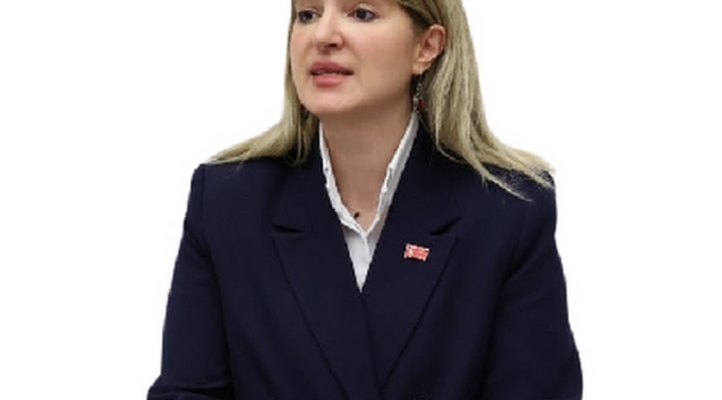  AK Parti Milletvekili İnanç Siraç Kara Ölmeztoprak'a Eleştiriler!