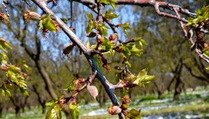 halkın vekili firarda