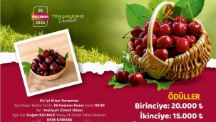 En İyi Kiraz Yarışması" 