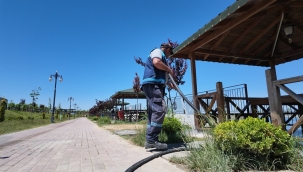 Kırkgöz Sahil Parkı'nda kapsamlı temizlik ve çevre düzenleme çalışması yürütüyor.